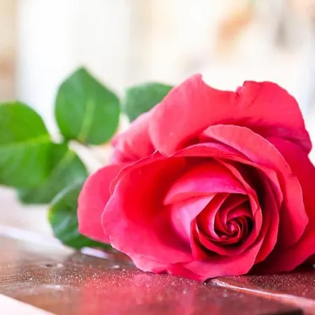 Nina Апартаменты